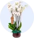 Geçmiş Olsun
